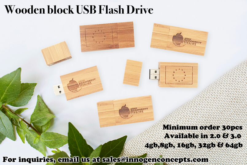 Wood Bamboo usb flash drive